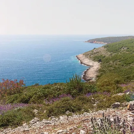 With Fireplace Iv